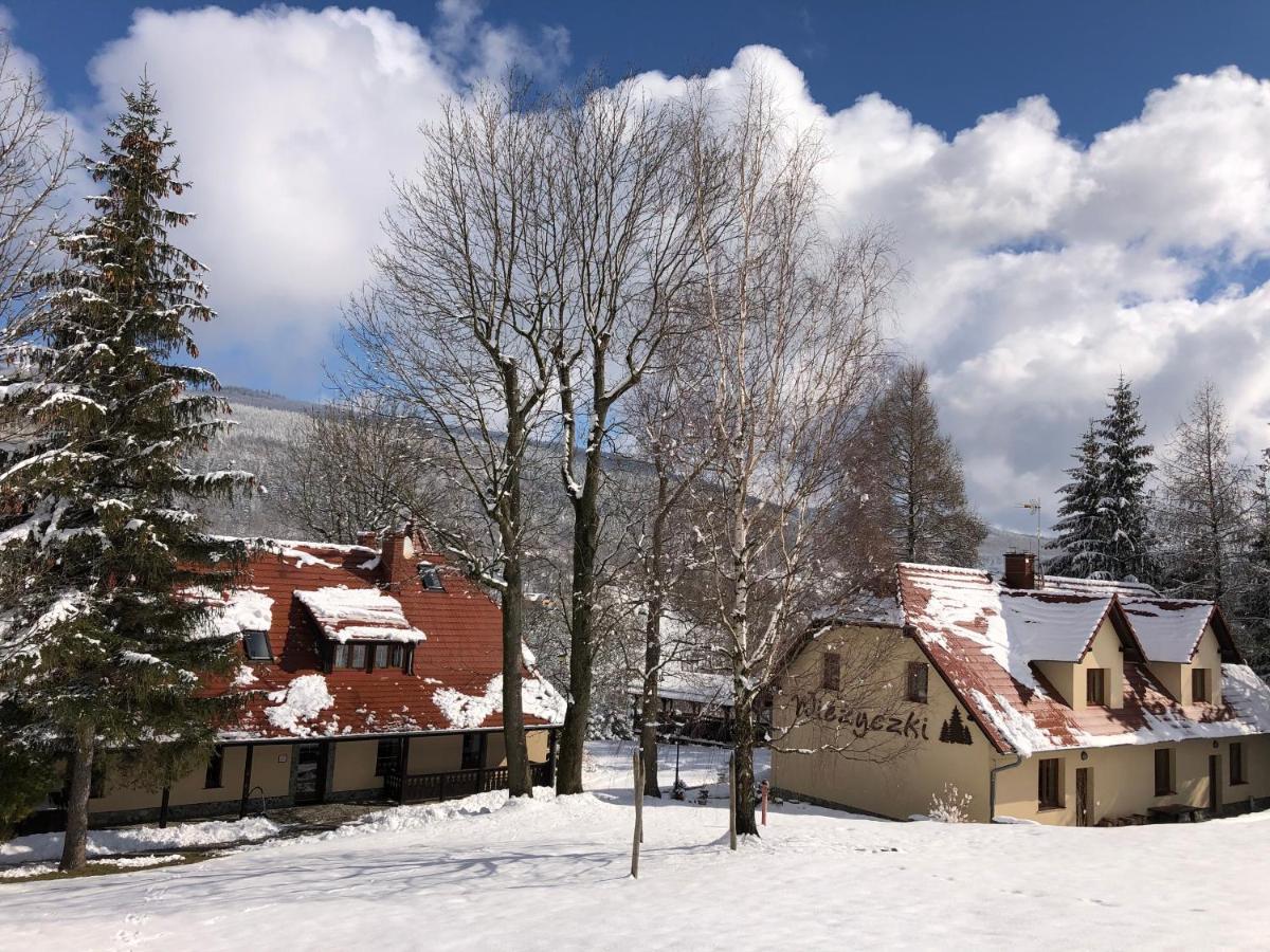 Willa Wiezyczki Swieradow-Zdroj Exterior photo